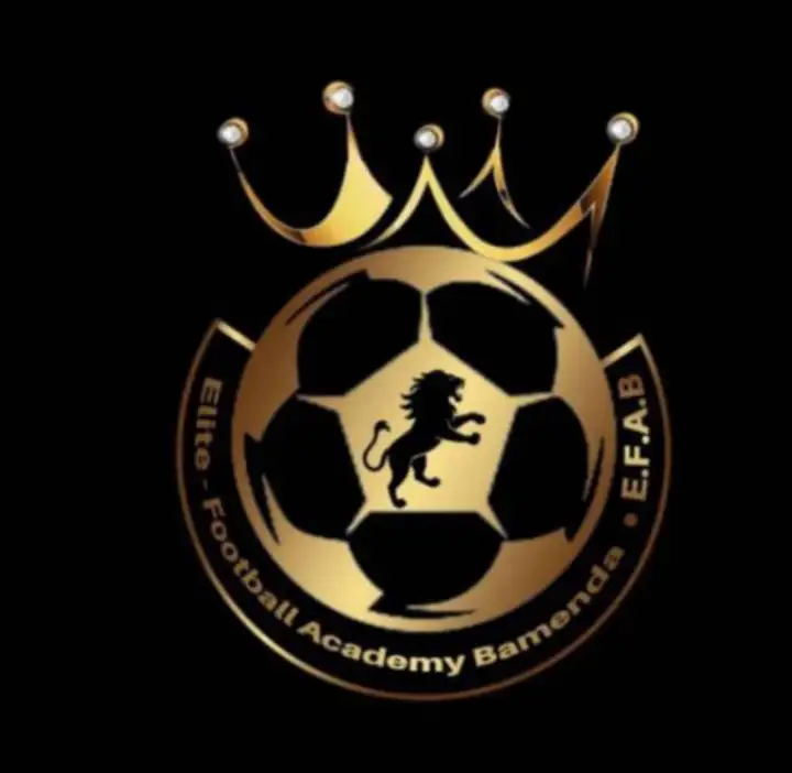 Elite Football Academy crest